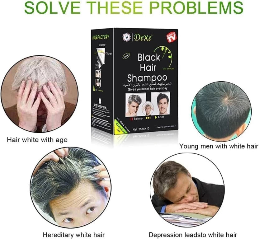 Dexe Black Hair Shampoo Dye (25ml x 10), Black